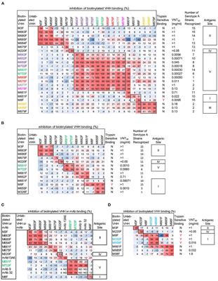 Mapping of foot-and-mouth disease virus antigenic sites recognized by single-domain antibodies reveals different 146S particle specific sites and particle flexibility